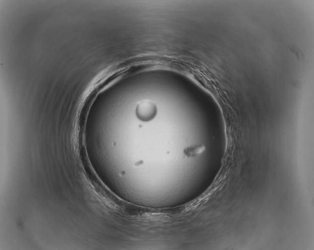 X0000111590150200907231222