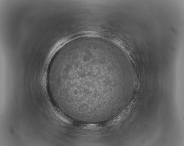 X0000111590151200907231222