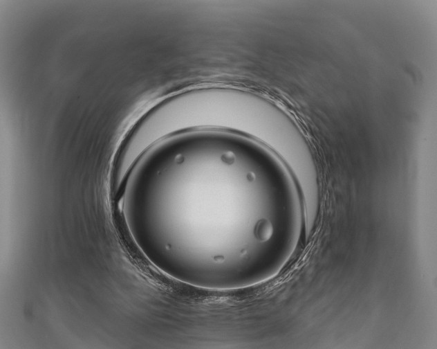 X0000111590152200907231222