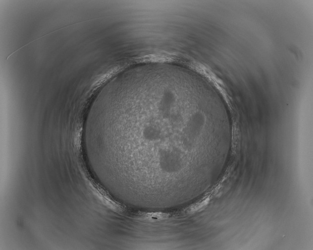 X0000111590153200907231222