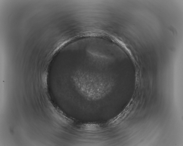 X0000111590154200907231222