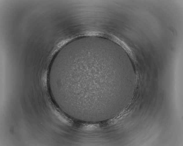 X0000111590155200907231222