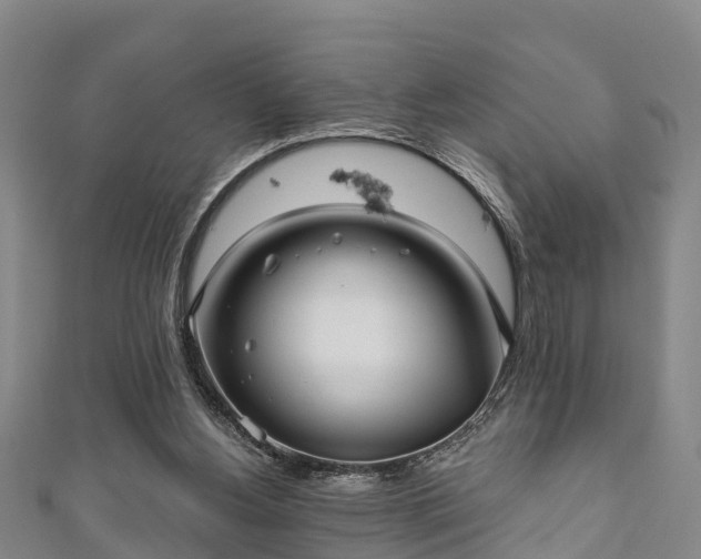 X0000111590156200907231222