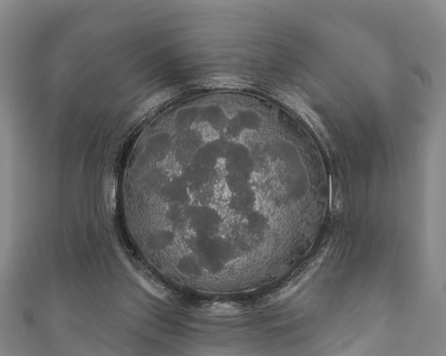 X0000111590157200907231222