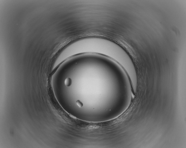 X0000111590158200907231222