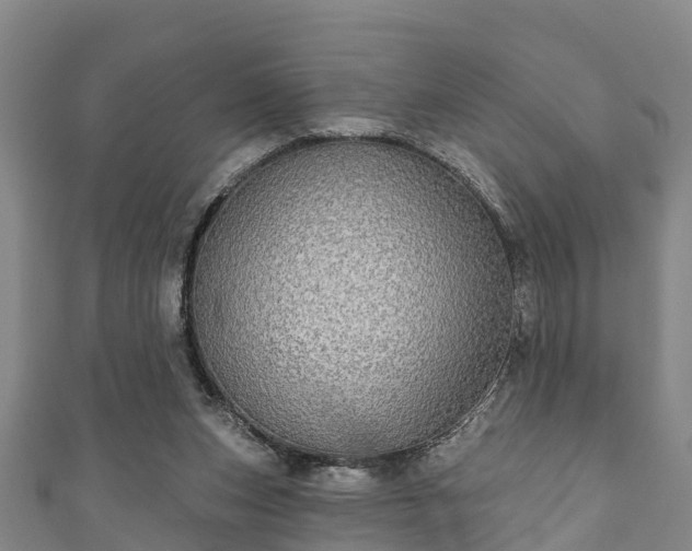 X0000111590159200907231222