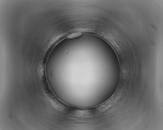 X0000111590160200907231222