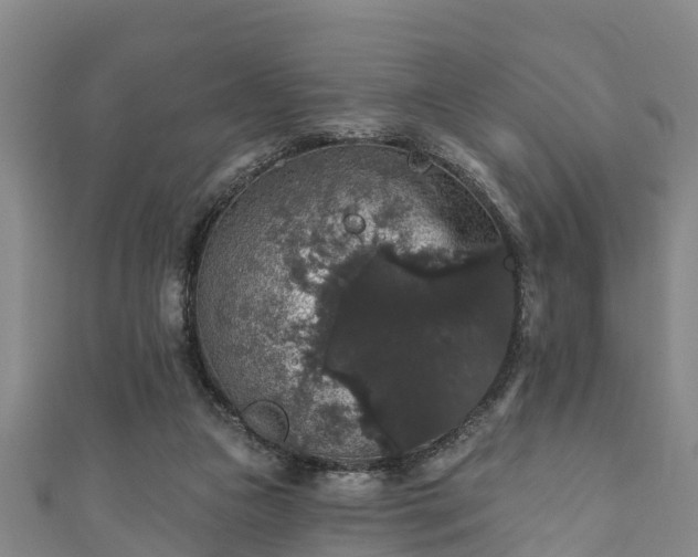 X0000111590161200907231222