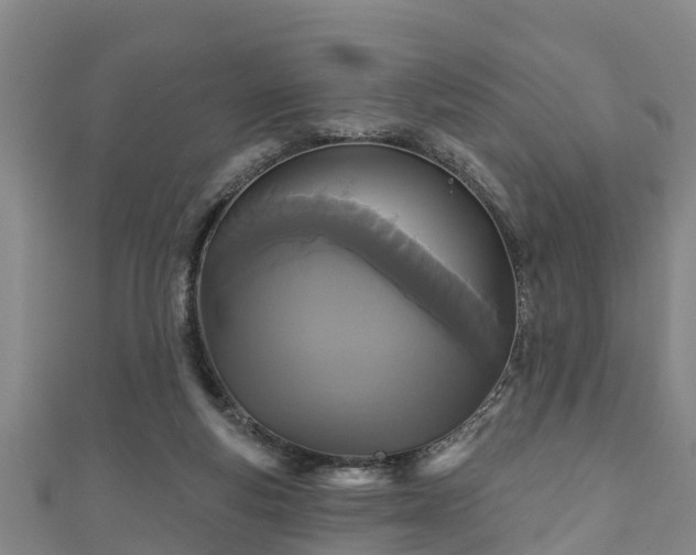 X0000111590163200907231222