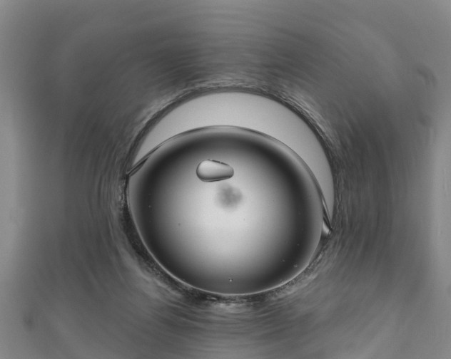 X0000111590164200907231222