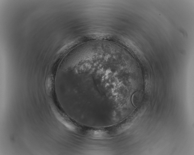 X0000111590165200907231222