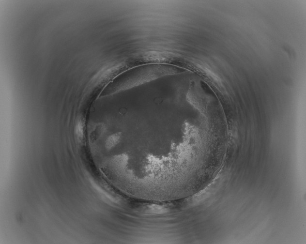 X0000111590166200907231222