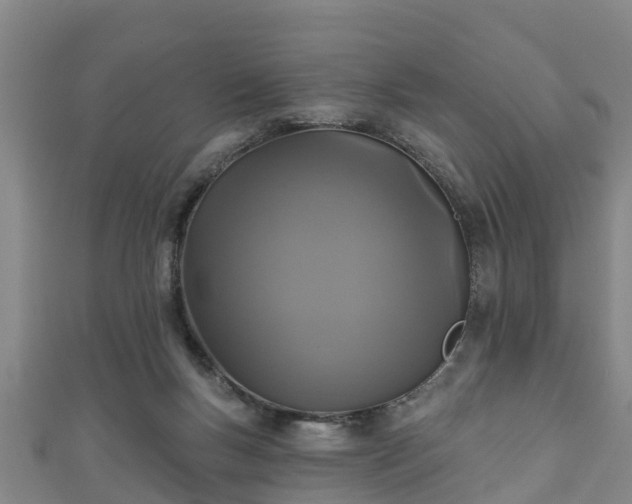 X0000111590167200907231222