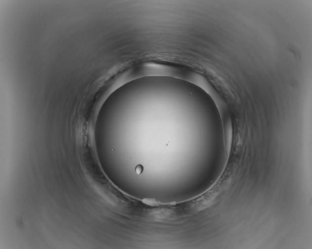 X0000111590168200907231222