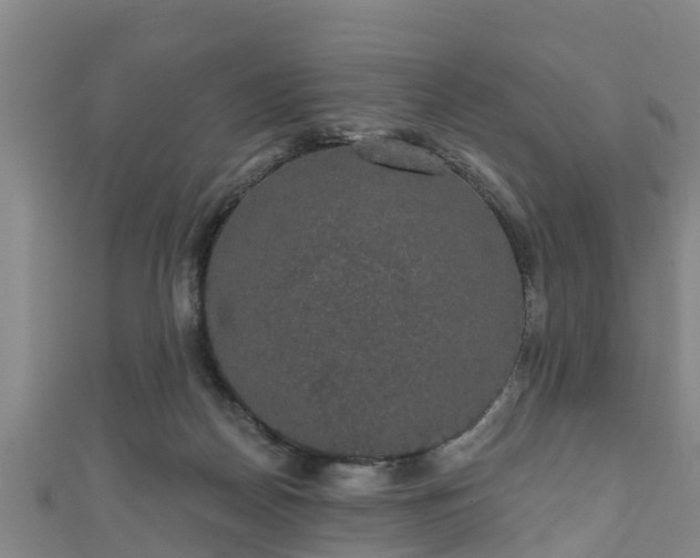 X0000111590170200907231222