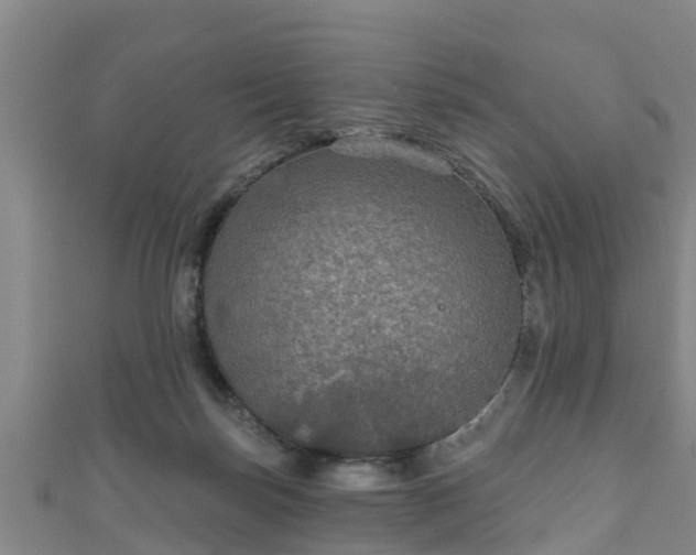 X0000111590171200907231222