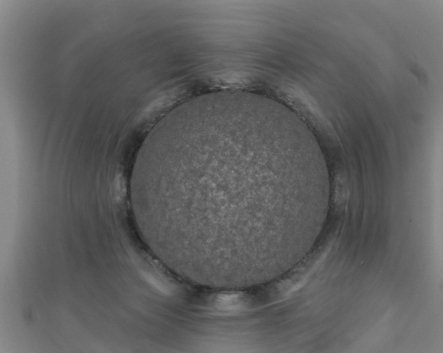 X0000111590173200907231222