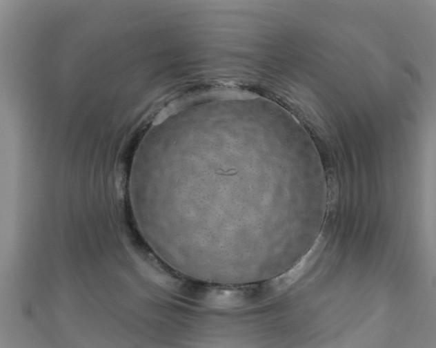 X0000111590174200907231222