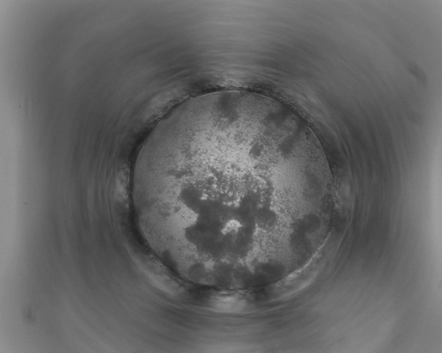 X0000111590175200907231222