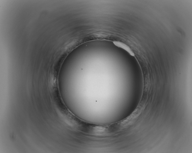 X0000111590176200907231222