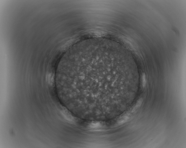 X0000111590177200907231222