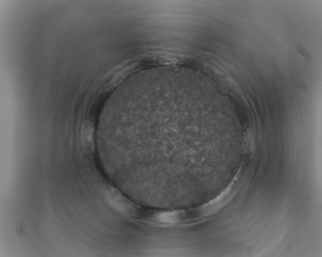 X0000111590178200907231222