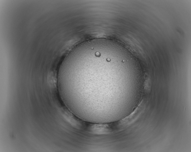 X0000111590179200907231222