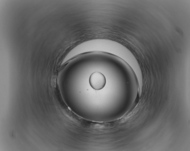 X0000111590180200907231222