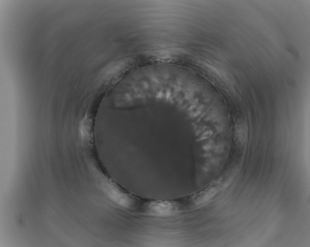 X0000111590181200907231222