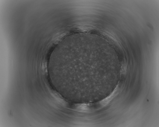 X0000111590182200907231222