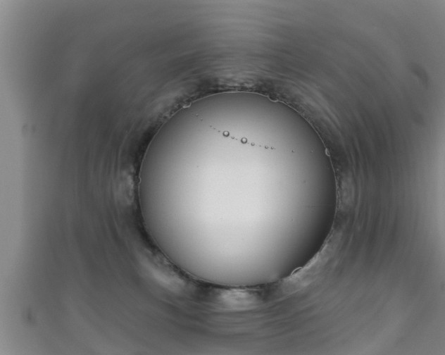 X0000111590183200907231222