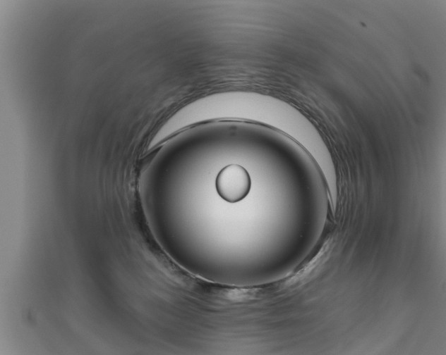 X0000111590184200907231222