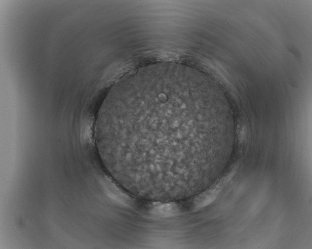 X0000111590185200907231222