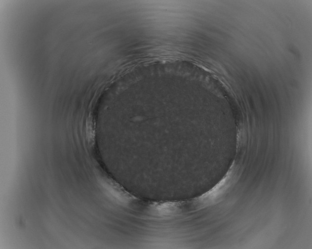 X0000111590186200907231222