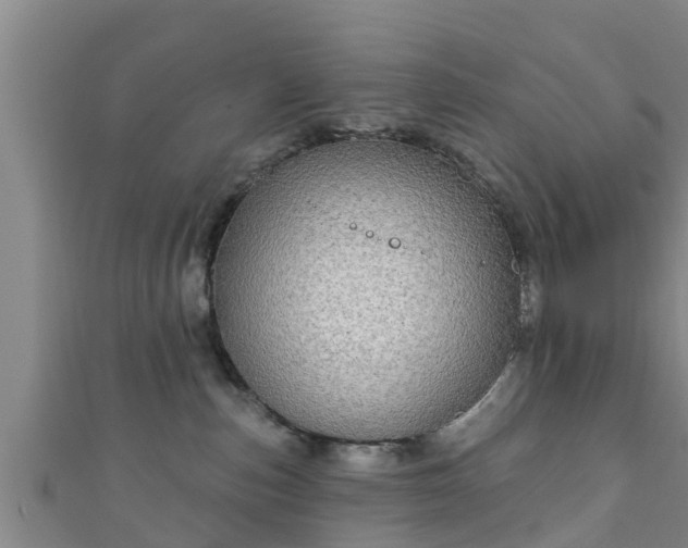 X0000111590187200907231222