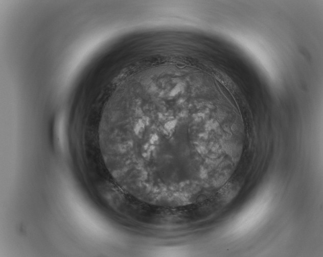 X0000111590189200907231222