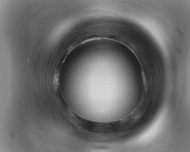 X0000111590190200907231222