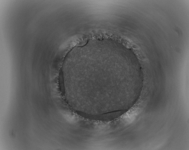 X0000111590192200907231222