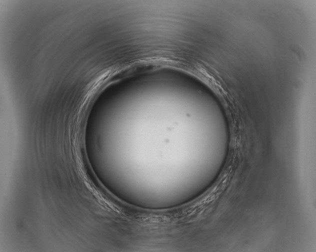 X0000111590193200907231222