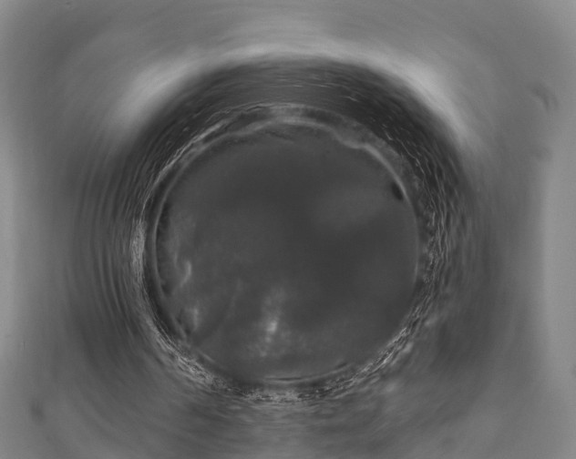 X0000111590194200907231221