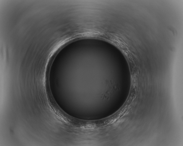 X0000111590196200907231221