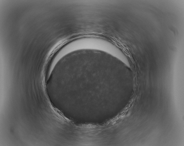 X0000111590197200907231221