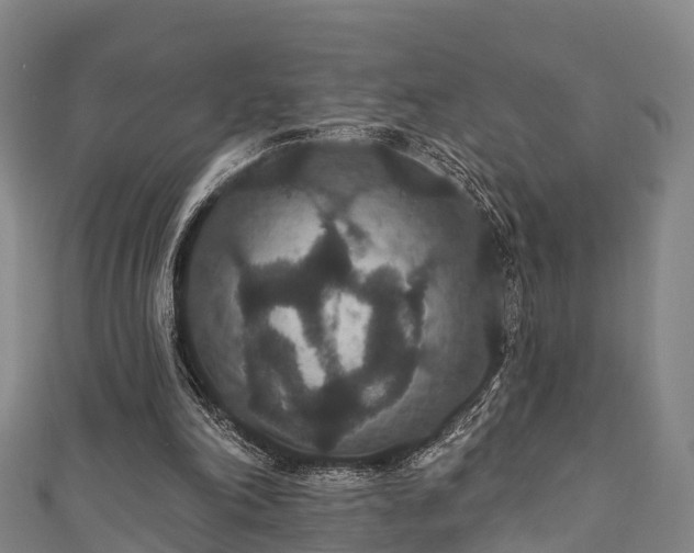 X0000111590198200907231221