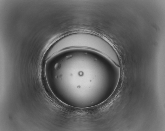 X0000111590199200907231221