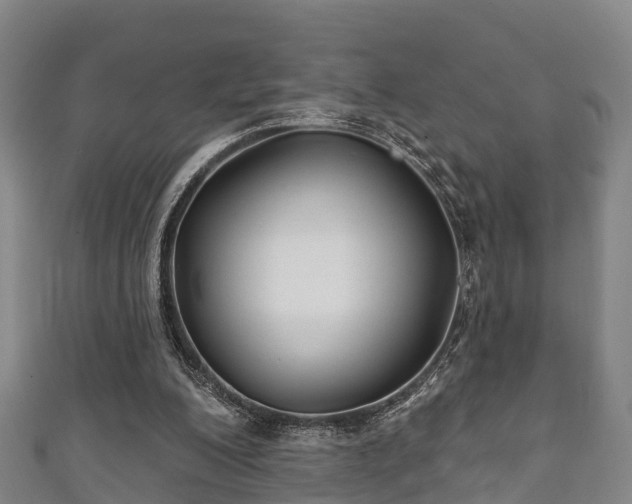 X0000111590200200907231221