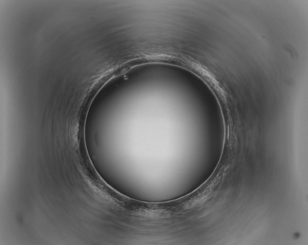 X0000111590201200907231221