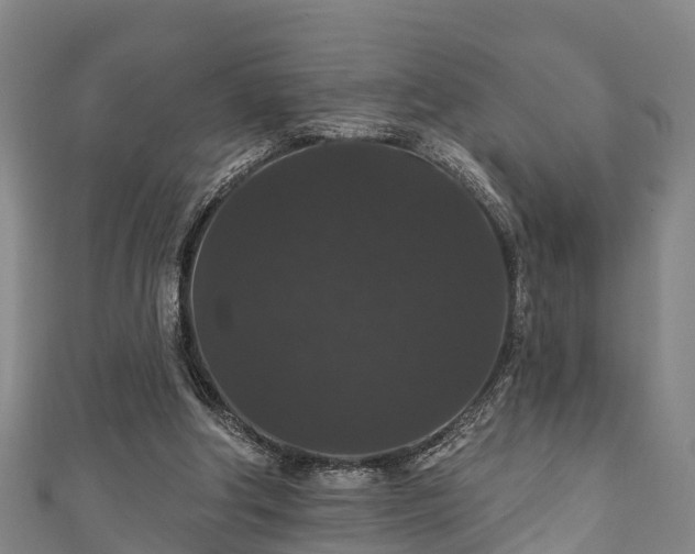 X0000111590202200907231221