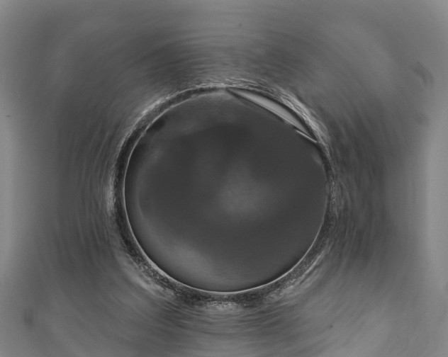 X0000111590203200907231221