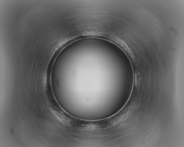 X0000111590204200907231221