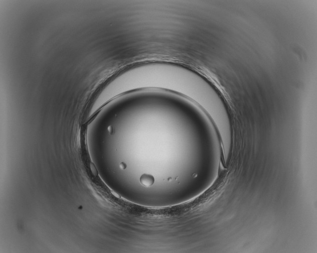 X0000111590205200907231221